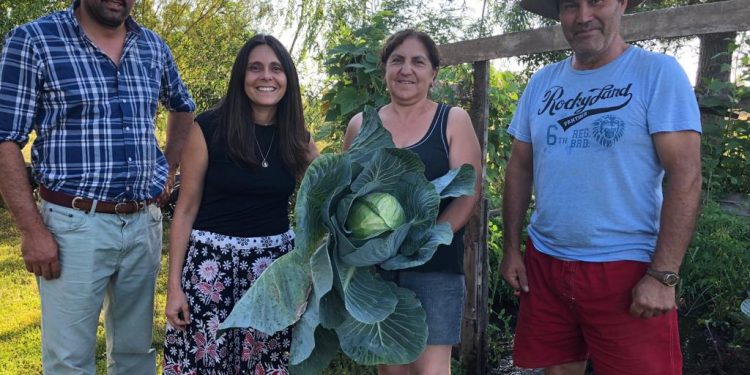 Familias rurales de Ñuble recibirán insumos para mejorar producción y cultivos