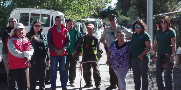 Vecinos y Carabineros de Bulnes limpiaron caminos para evitar incendios forestales