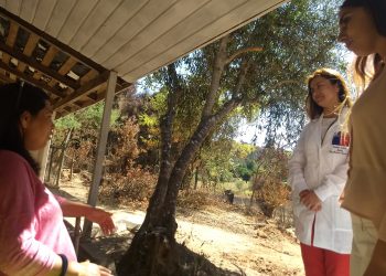 Realizan seguimiento psicológico a familias afectadas por incendio en Coelemu