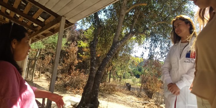 Realizan seguimiento psicológico a familias afectadas por incendio en Coelemu