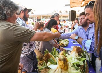 Festival del Choclo promete en sector La Victoria camino a Las Mariposas