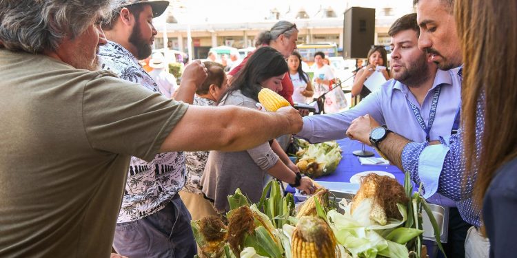 Festival del Choclo promete en sector La Victoria camino a Las Mariposas