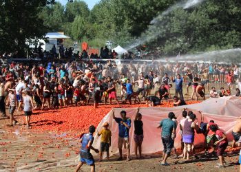 Se viene «la Guerra del Tomate» en Quillón