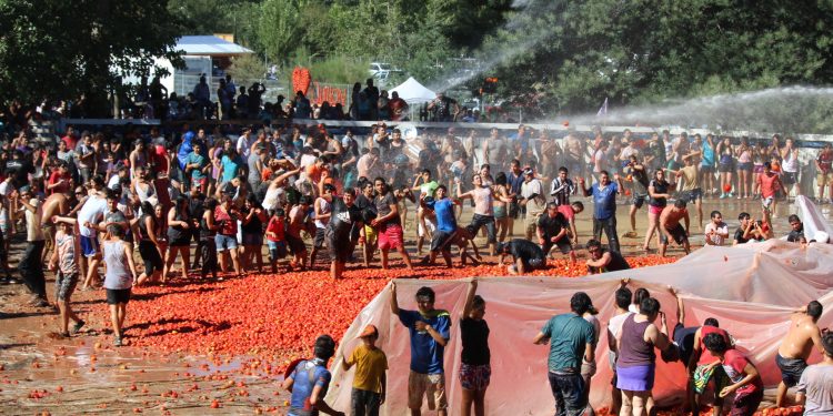 Se viene «la Guerra del Tomate» en Quillón