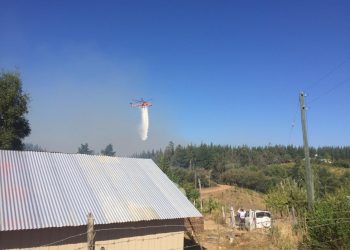 Onemi declara Alerta Roja para la comuna de Trehuaco por incendio forestal