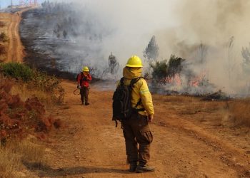 Encuentran a mujer de 71 años que estaba extraviada tras incendio forestal de Coelemu