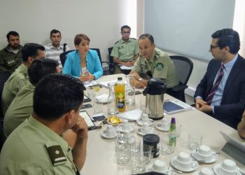 Fiscalía y Carabineros de Ñuble coordinan trabajo ante emergencia por incendios forestales