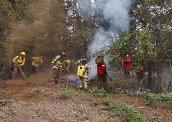 Incendios en Ñuble: 645 hectáreas afectadas y cancelan  Alerta Roja para Chillán