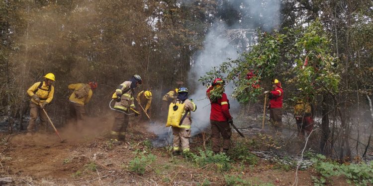 Incendios en Ñuble: 645 hectáreas afectadas y cancelan  Alerta Roja para Chillán