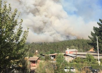 Coelemu: Catastro arroja 132 afectados y 12 casas destruidas tras incendio