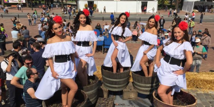 Llaman a inscribirse a las jóvenes ñublensinas en el concurso Reina Fiesta de la Vendimia 2019