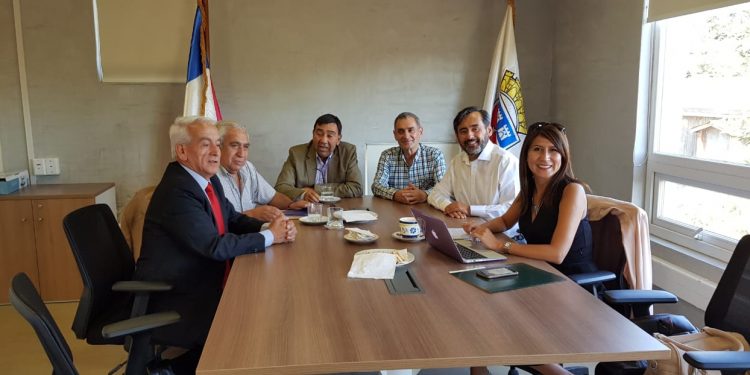 Alcalde de El Carmen presidirá Asociación Laja Diguillín