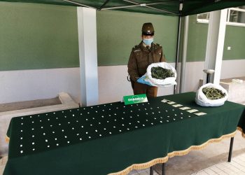 Intervienen domicilio en población El Roble y detienen a sujeto por tráfico de drogas