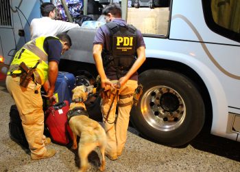Incautan diversas drogas en fiscalización a buses interurbanos