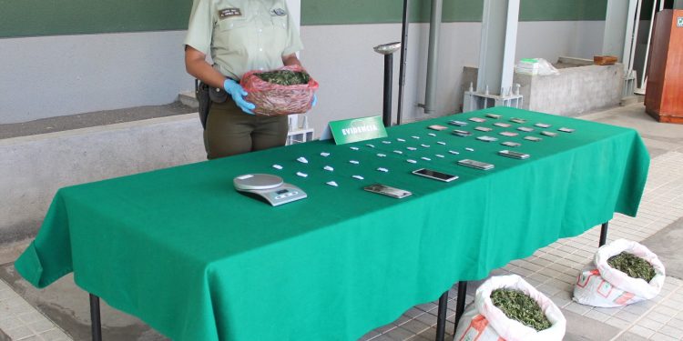 Coihueco: Desarticulan organización criminal y sacan de circulación 50 mil dosis de droga