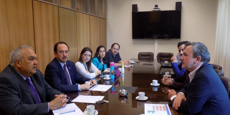 Presentarán a Ministra de Educación proyecto de primera escuela de Medicina de Ñuble