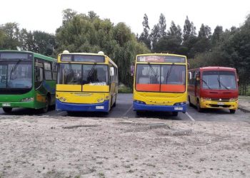 San Nicolás: Sacan de circulación cuatro buses que transportaban escolares