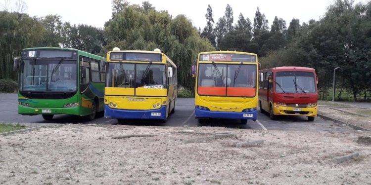 San Nicolás: Sacan de circulación cuatro buses que transportaban escolares