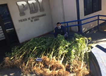 San Carlos: Desbaratan banda e incautan 26 kilos de droga avaluada en 400 millones de pesos