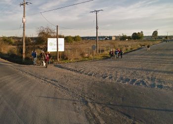 Chillán Viejo: Aplican sumario sanitario a empresa Ecobio