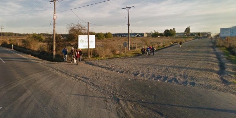 Chillán Viejo: Aplican sumario sanitario a empresa Ecobio