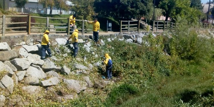 Realizan mantención de áreas verdes y enrocado en el Estero Las Tocas