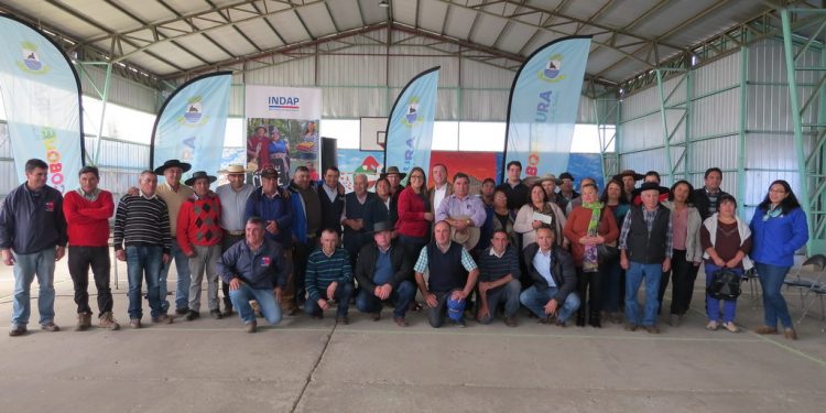 Entregan bono por $75 millones a pequeños campesinos de Cobquecura