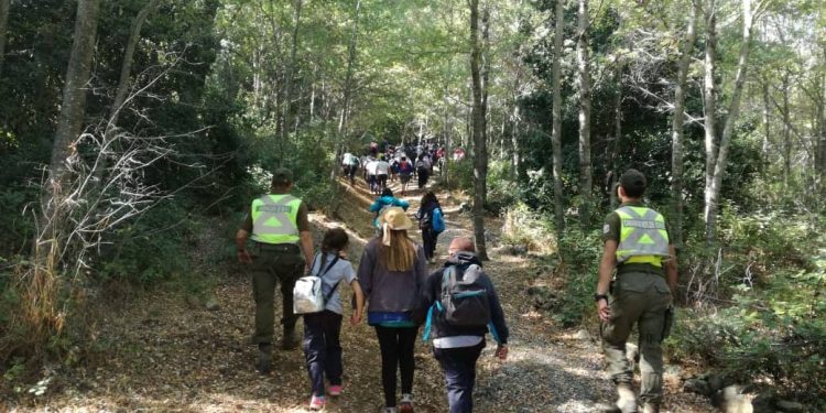 Refuerzan patrullajes policiales en San Fabián