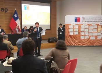 Realizan taller ciudadano en Ñuble para regularizar la leña