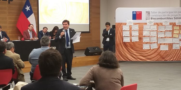 Realizan taller ciudadano en Ñuble para regularizar la leña
