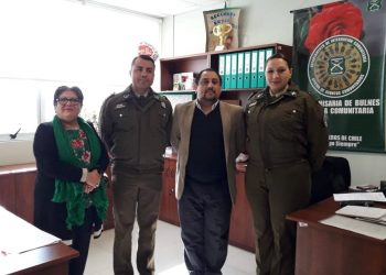 Acuerdan estrategias para abordar problemática de menores infractores de Ley en Bulnes