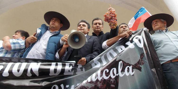 Sabag espera que el gobierno «escuche a los viñateros»