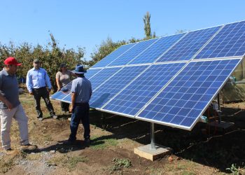 Quillón: Agricultores mejoran su producción gracias a paneles fotovoltaicos