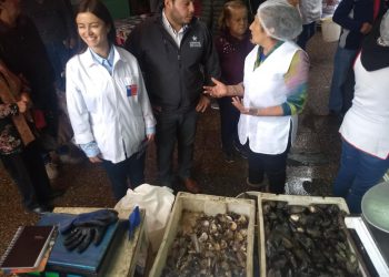 En Ñuble se han decomisado más de 2 mil productos del mar con anomalías sanitarias