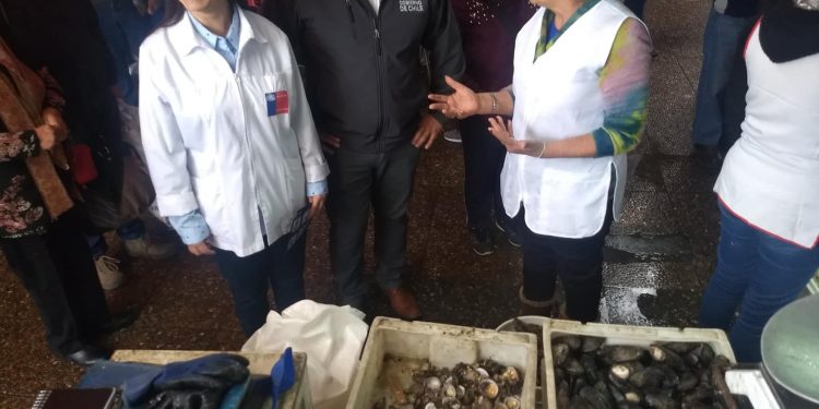 En Ñuble se han decomisado más de 2 mil productos del mar con anomalías sanitarias