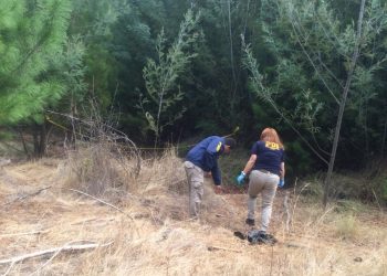 Quillón: Investigan si hallazgo de osamentas humanas corresponden a persona extraviada