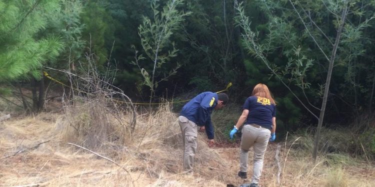 Quillón: Investigan si hallazgo de osamentas humanas corresponden a persona extraviada
