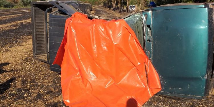 Hombre muere tras volcar su vehículo en San Ignacio