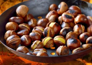 Tradicional Fiesta de la Castaña durará tres días en El Carmen