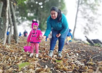 Niños y niñas se convirtieron en pequeños recolectores de castañas por un día