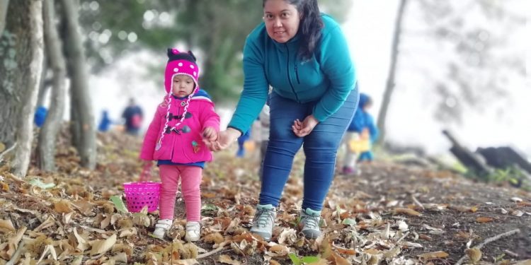 Niños y niñas se convirtieron en pequeños recolectores de castañas por un día