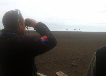 Sernapesca investiga presencia de botes pesqueros cercanos a Lobería en Cobquecura