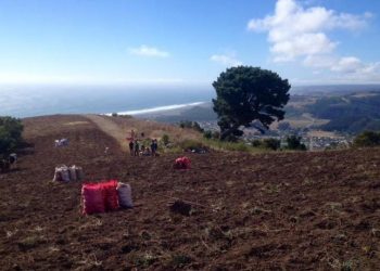 Cobquecura: Habilitarán sistema de agua potable domiciliaria en Los Maquis alto y   Los Maquis bajo