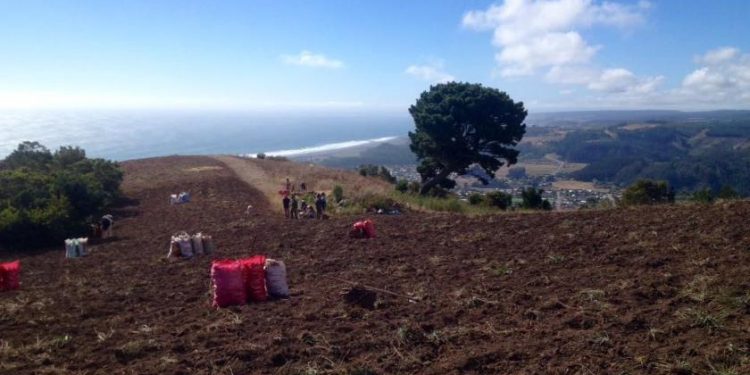 Cobquecura: Habilitarán sistema de agua potable domiciliaria en Los Maquis alto y   Los Maquis bajo