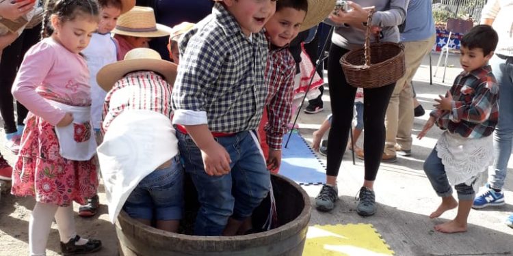Pequeños disfrutaron de la primera Fiesta de la Vendimia para niños y niñas en Coelemu