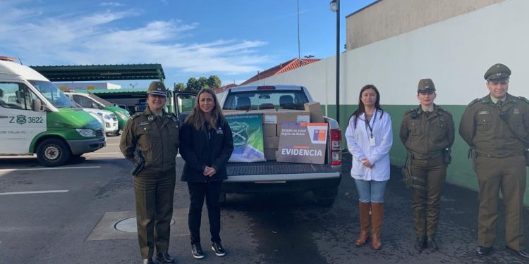 Decomisan 500 kilos de carne en mal estado en Chillán Viejo