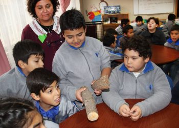 Alumnos de escuela Rosita O’Higgins aprenden sobre prevención ambiental