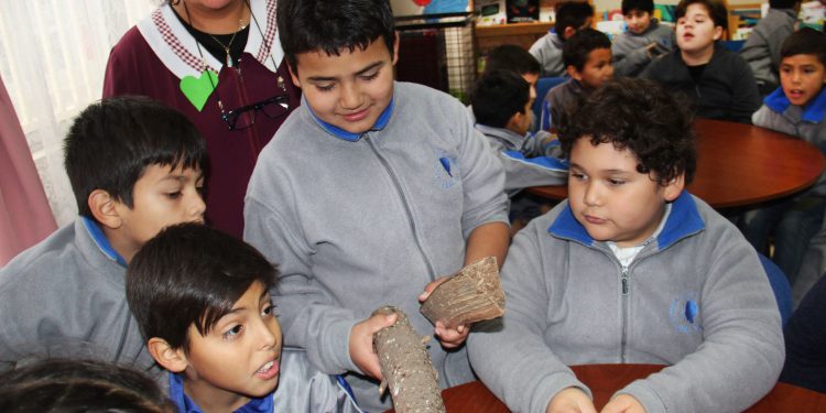 Alumnos de escuela Rosita O’Higgins aprenden sobre prevención ambiental