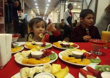 42 restaurantes de Ñuble ofrecerán Nuevo Menú Infantil