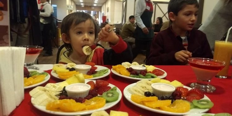 42 restaurantes de Ñuble ofrecerán Nuevo Menú Infantil